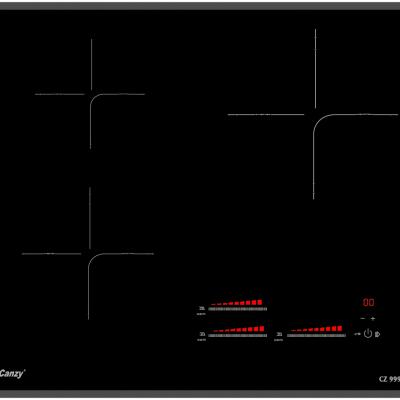 Bếp điện từ cao cấp Canzy CZ 999DH